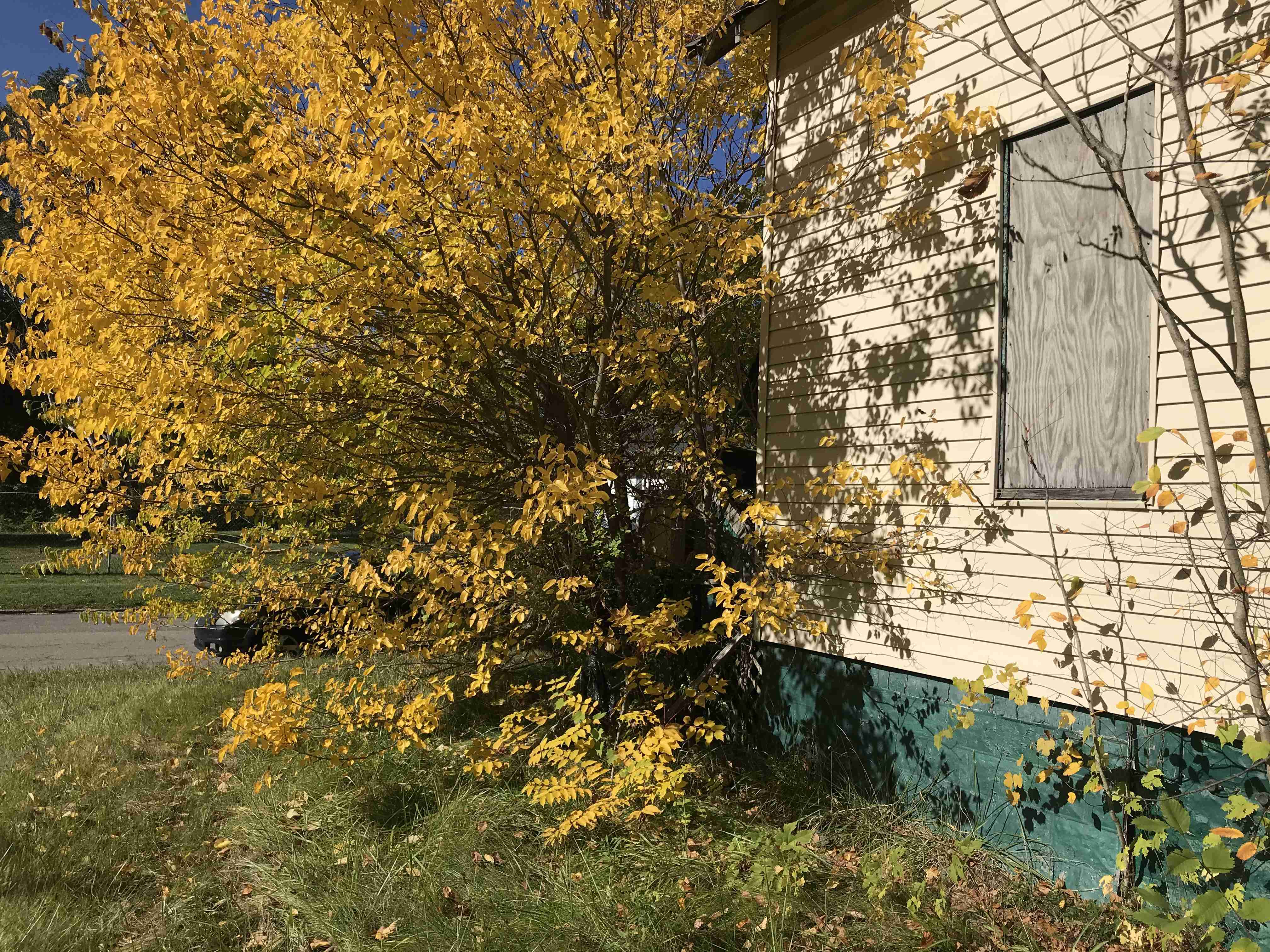 Photo Oct 13, 12 06 45 PM.jpg